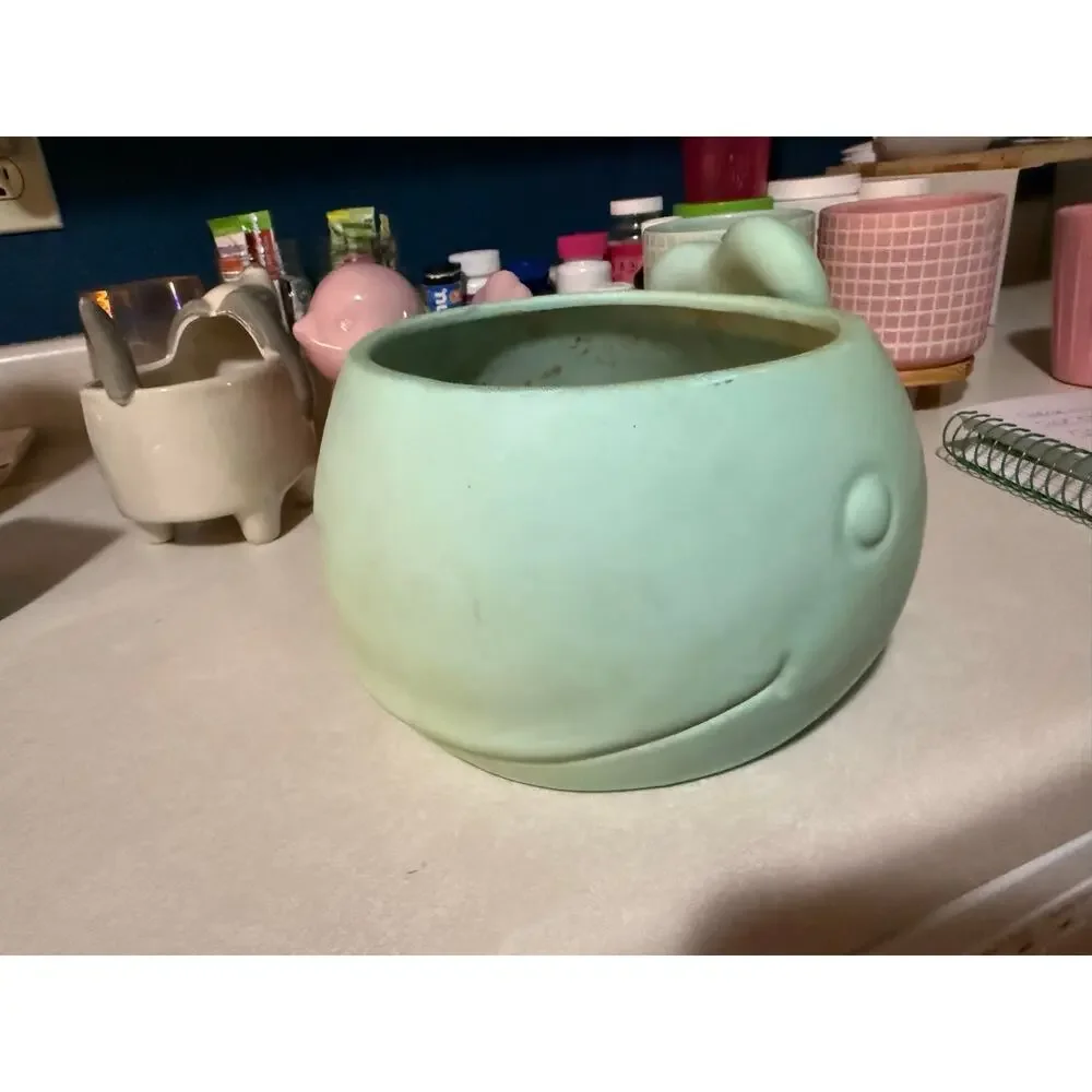 Smiling whale flower pot